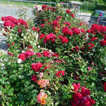 בית כפרי Rosenhof In